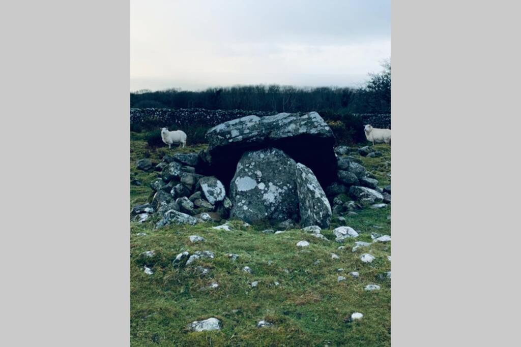 Llanddwywe Lle Mary - Beautiful Views, Hot Tub, Secluded, Dog Welcome, Barmouth מראה חיצוני תמונה