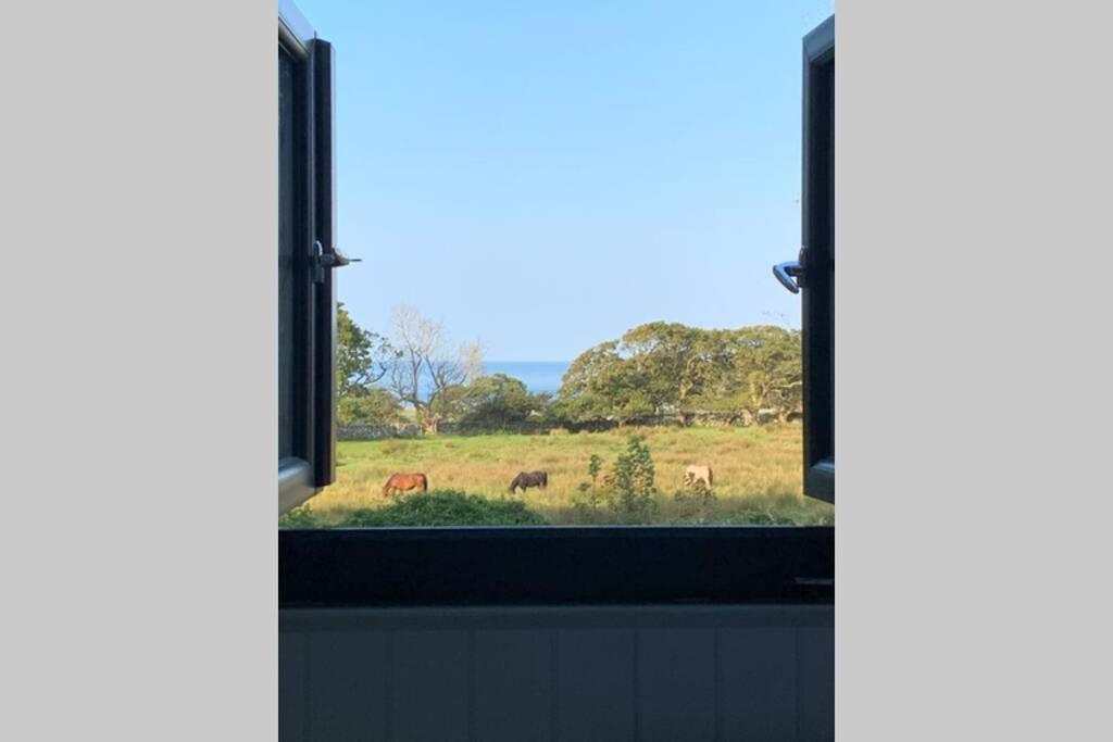 Llanddwywe Lle Mary - Beautiful Views, Hot Tub, Secluded, Dog Welcome, Barmouth מראה חיצוני תמונה
